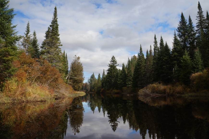 Autumn on the Oswegatchie River High Rock Paddle Nature Up North